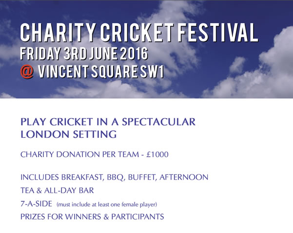 charity-cricket-festival.jpg